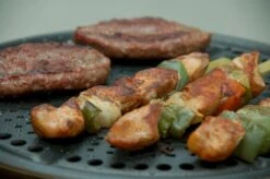 Cobb Premier+ Gas Gasbarbecue - Grijs -Buiten kamperen 1263 1900 dsc 0474