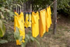 Easy Camp Spirit 300 Tunneltent - 3 Persoons - Groen -Buiten kamperen 1267 1900 waslijn