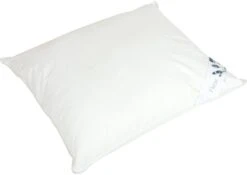 Polydaun Frisk 800 Hoofdkussen - Wit