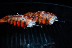 MEATER Block Met 4 Draadloze Thermometers -Buiten kamperen 20190625 mg 6541