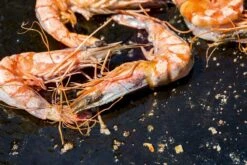 OFYR Kookboek -Buiten kamperen 800 1200 cb no1 nl fr 3