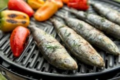 CADAC Grillo Chef 40 Gasbarbecue - BBQ 21 CADAC Grillo Chef 40 Gasbarbecue - BBQ -Buiten kamperen 900 1348 grillo chef 40 bbq grid 1