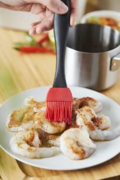 Barbecook Sauspan Met Marinadeborstel 8 Barbecook Sauspan Met Marinadeborstel -Buiten kamperen 900 600 bc acc 7211 sf 12 hr