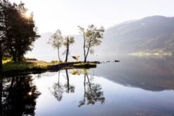 Amazonas Silk Traveller 1 Persoons Reishangmat - Techno 9 Amazonas Silk Traveller 1 Persoons Reishangmat - Techno -Buiten kamperen a181 16 op 01 resultaat