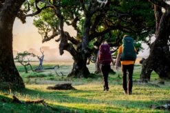 Osprey Rook Backpack - 65 Liter - Zwart -Buiten kamperen osprey rennrook